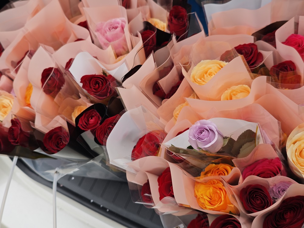 春风如你，，，熠熠青春 | 红黑大战app下载医疗温馨献礼妇女节